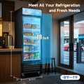 WURESE 16 cu. ft. Commercial Upright Display Freezer, Single Glass Door Merchandiser with Auto Defrost, ETL Certified, -8 to -1°F, for Cafes, Restaurants and Stores